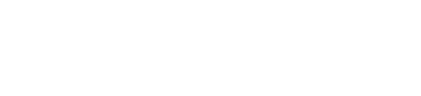 クリスマスチキン